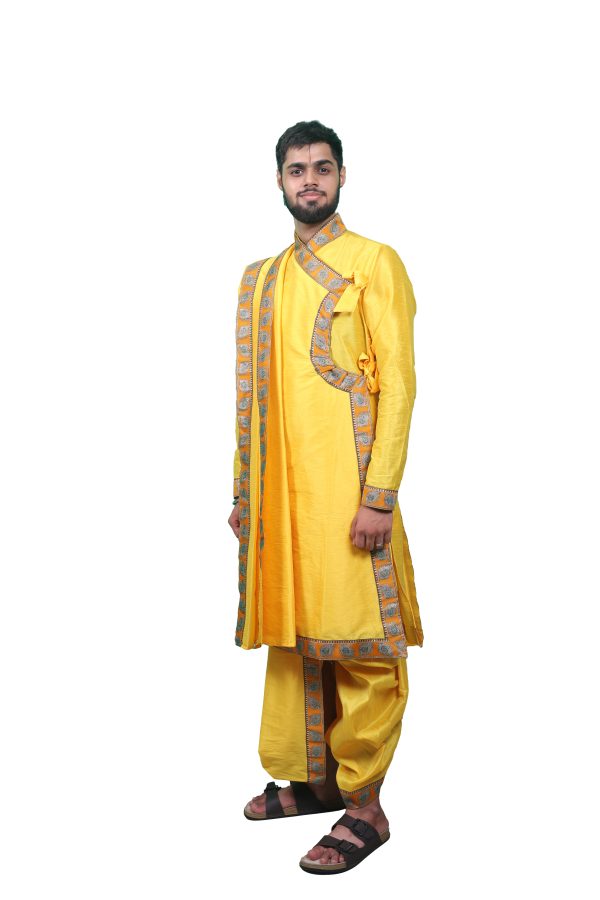 Mango- Mor Pankh (Dupian Silk) - Image 3