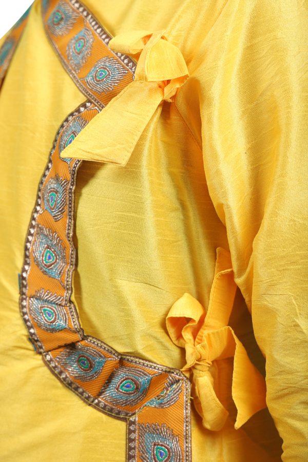 Mango- Mor Pankh (Dupian Silk) - Image 6